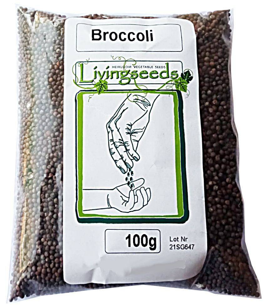 Broccoli Microgreens Seeds 100 Grams, microgreens, salads, juicing