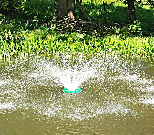 floating fountain with built in pump