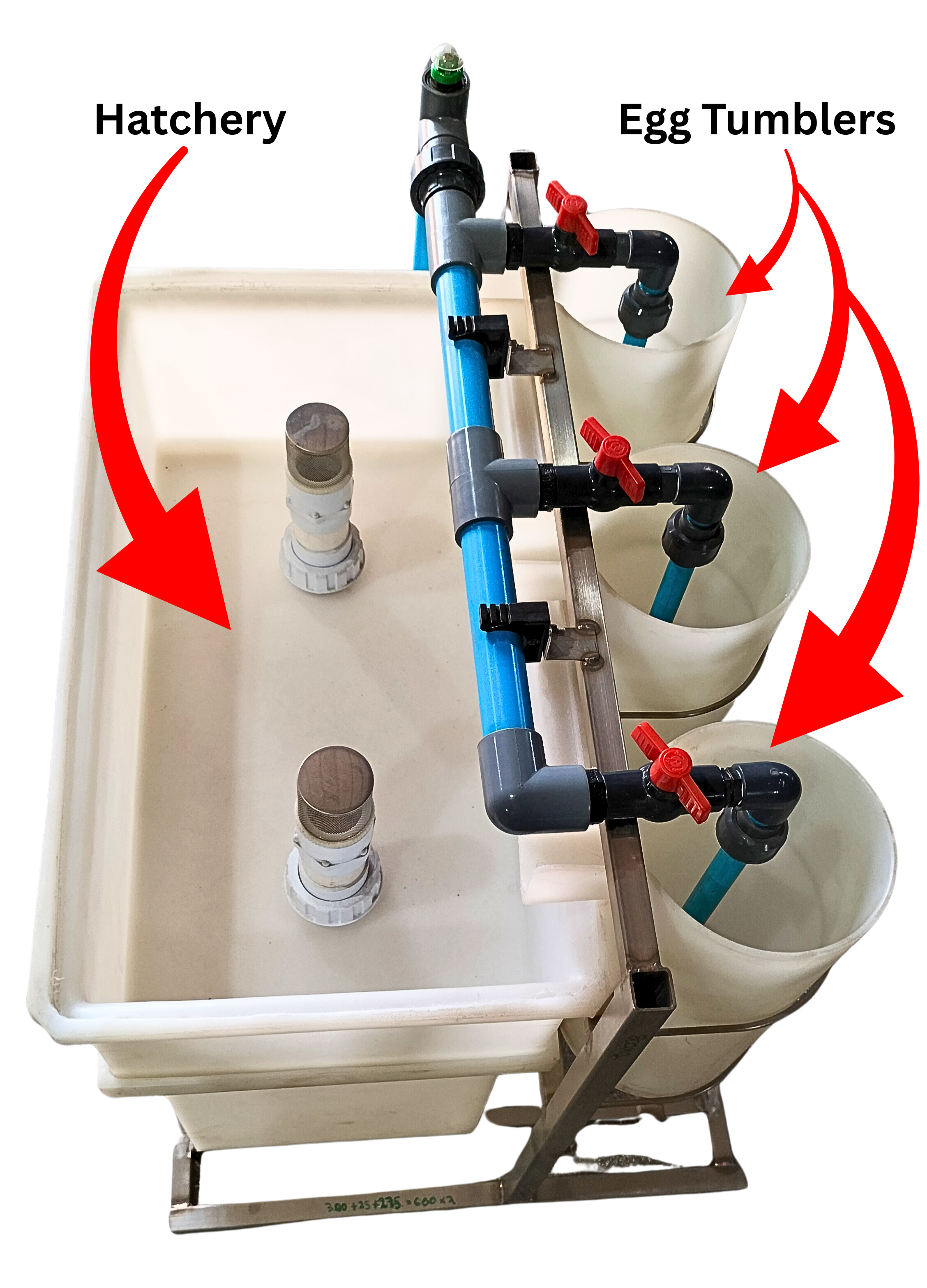 Professional egg tumbler and hatchery aquaculture