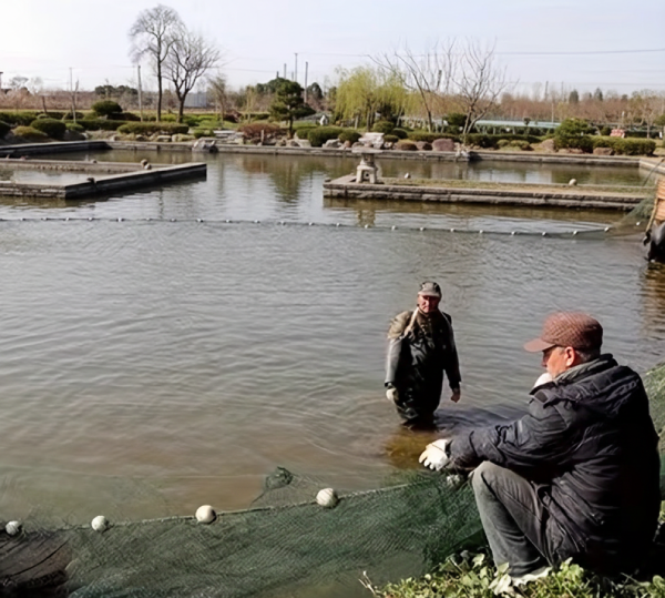 drag fish net, fishing dragnet