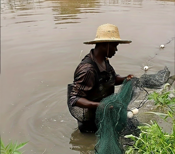 Fishing drag net with floats and sinkers