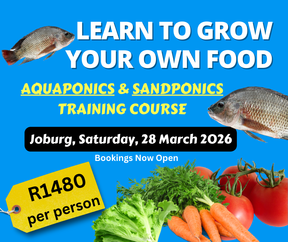 sandponics and aquaponics training Johannesburg