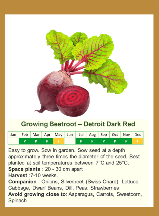beetrootf.png