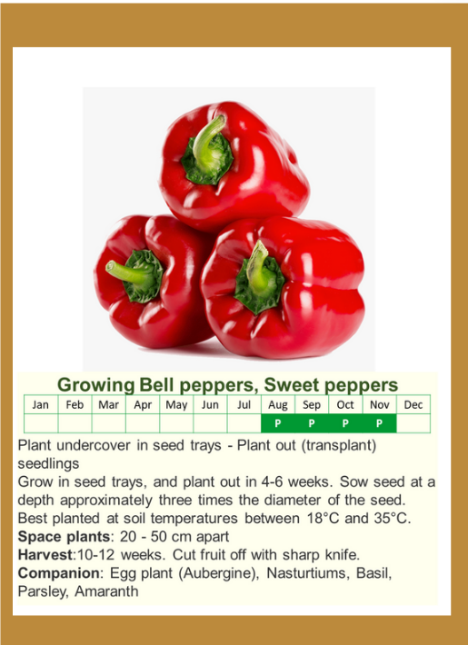 bellpeppersf.png