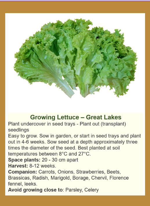 greatlakesf.png