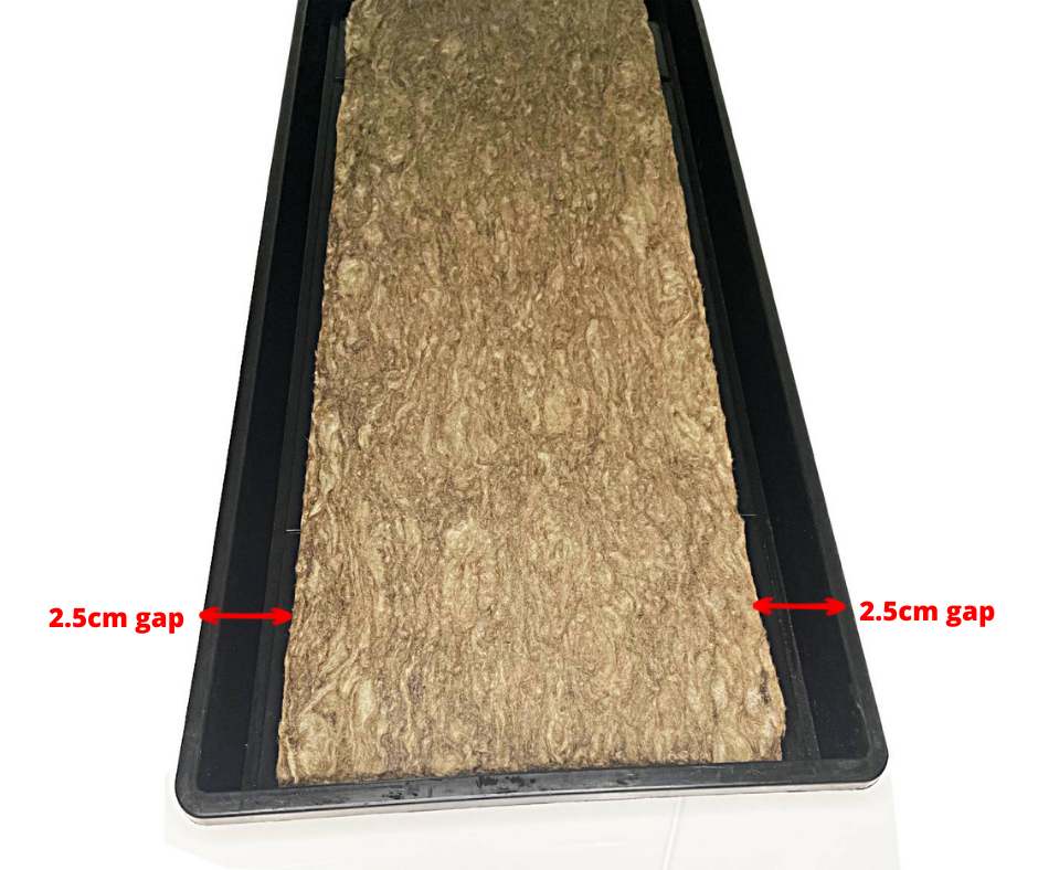 microgreens-rockwool-mat-4-.png