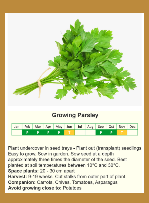 parsleyf.png