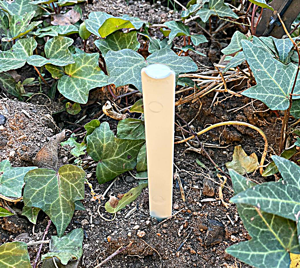 plant marker 