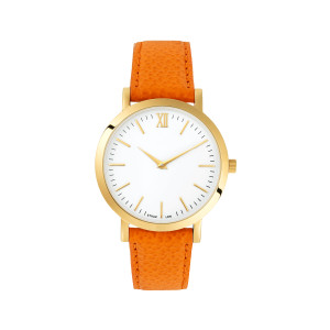 Watch Clifton Automatic Silver Dial Brown Leather Men's