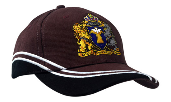 Brushed Heavy Cotton with Inserts/Embroidery on Crown & Peak || 2811