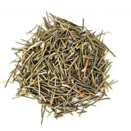 Pine Needle Tea Health Benefits The Tea Hut