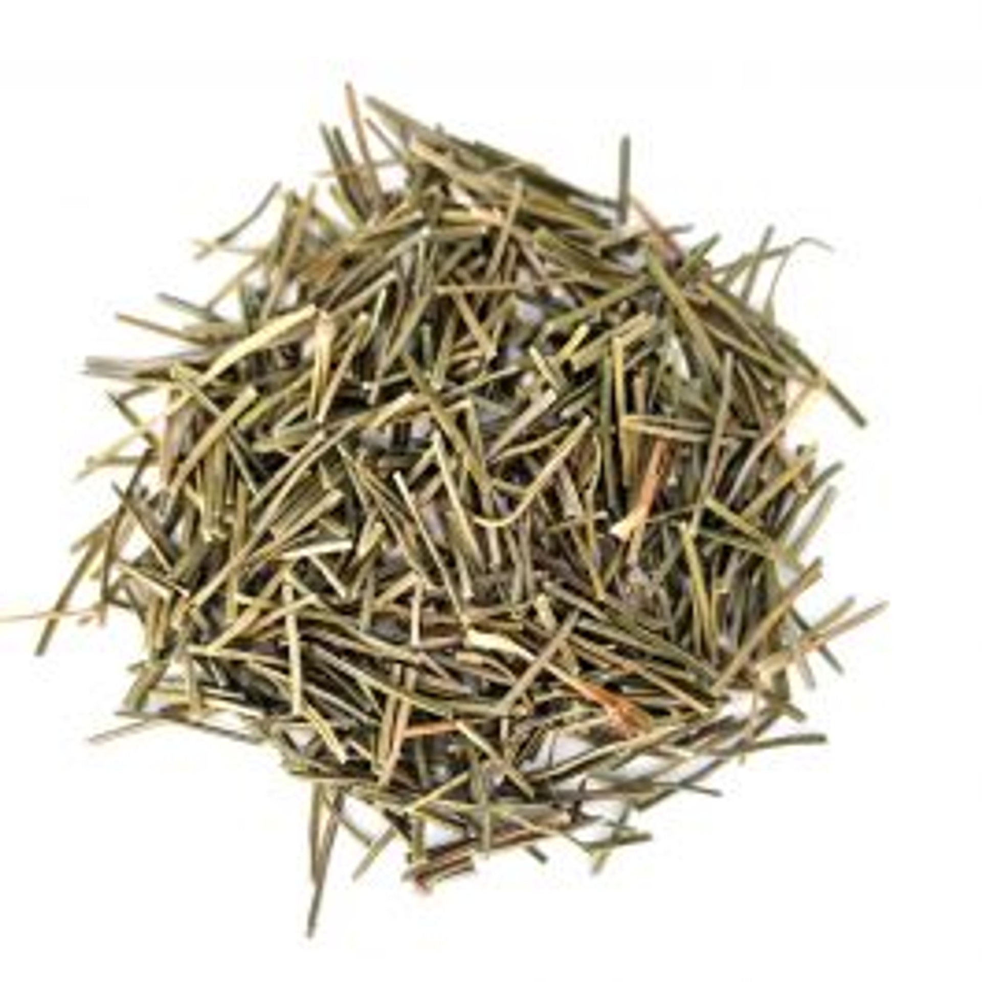 Pine Needle Tea Health Benefits The Tea Hut