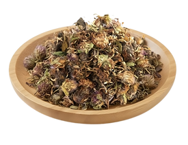 Buy Bulk Wholesale Certified Organic Red Clover Flower Tea Australia