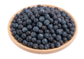 Buy Certified Organic Bulk Wholesale Juniper Berry Tea