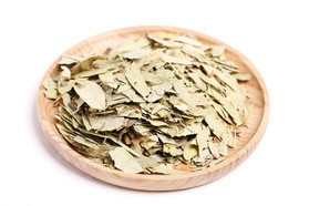 Buy Bulk Wholesale Certified Organic Senna Leaf Tea