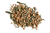 Buy Bulk Wholesale Japanese Genmaicha Premium Tea Organic