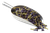 Blue Butterfly Pea Flowers Tea