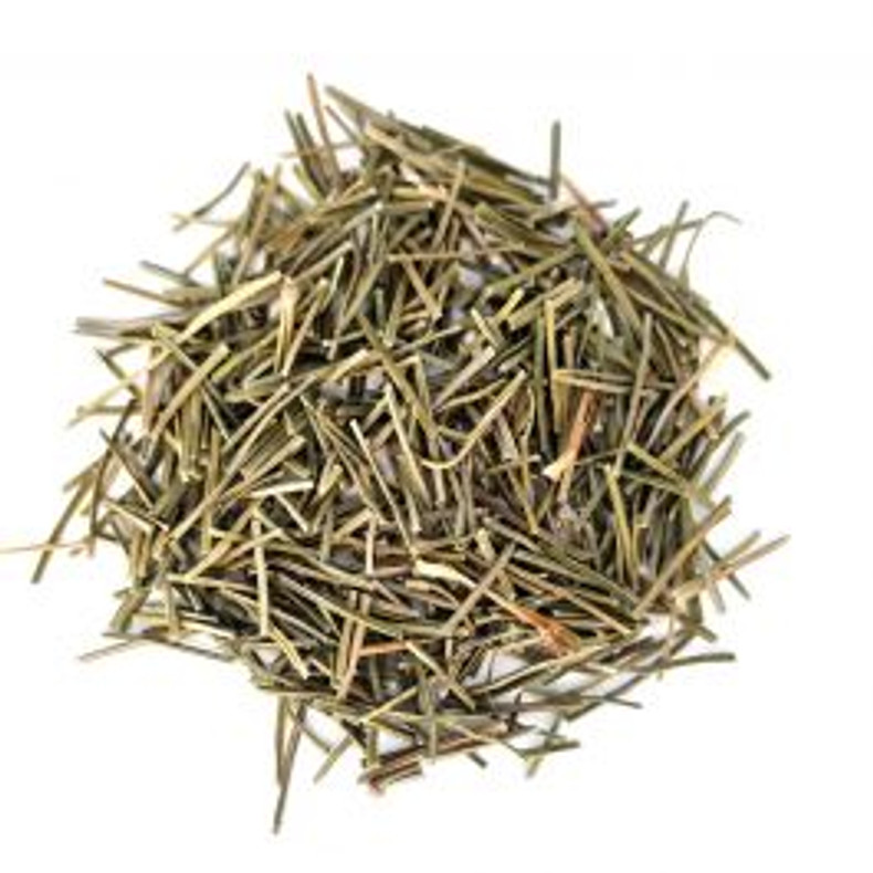 Pine Needle Tea Health Benefits