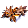 Buy Organic Star Anise Whole Tea Buy Organic Star Anise Whole Tea