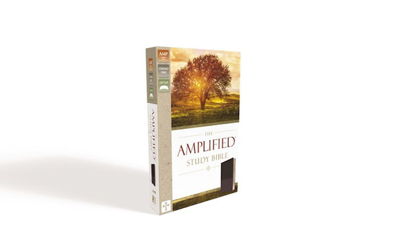 Amplified Study Bible, Large Print, Purple