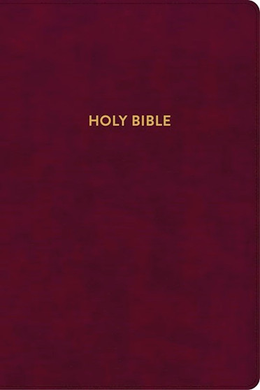 KJV Rainbow Study Bible Burgundy LeatherTouch