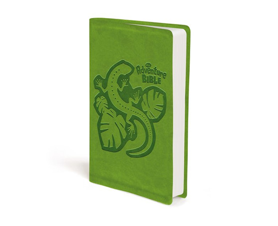 NIrV Adventure Bible For Early Readers - Green