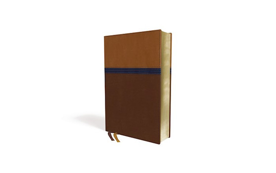 NIV Study Bible,  Personal Size, Leathersoft, Brown/Blue