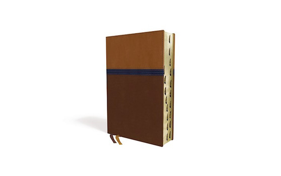 NIV Study Bible, Personal Size, Leathersoft, Brown/Blue, Thumb Indexed