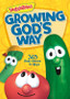 VeggieTales Growing God's Way 365 Daily Devos For Boys