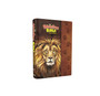 NIRV Adventure Bible for Early Readers Hardcover -Lion