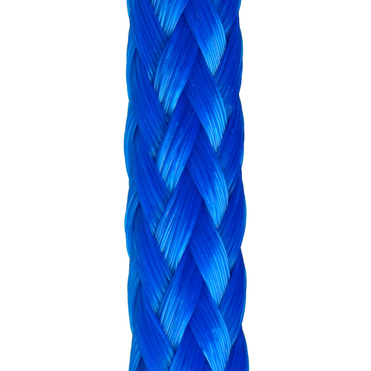 3-Strand Twisted Rope and 8-Strand Plaited Nylon Rope On