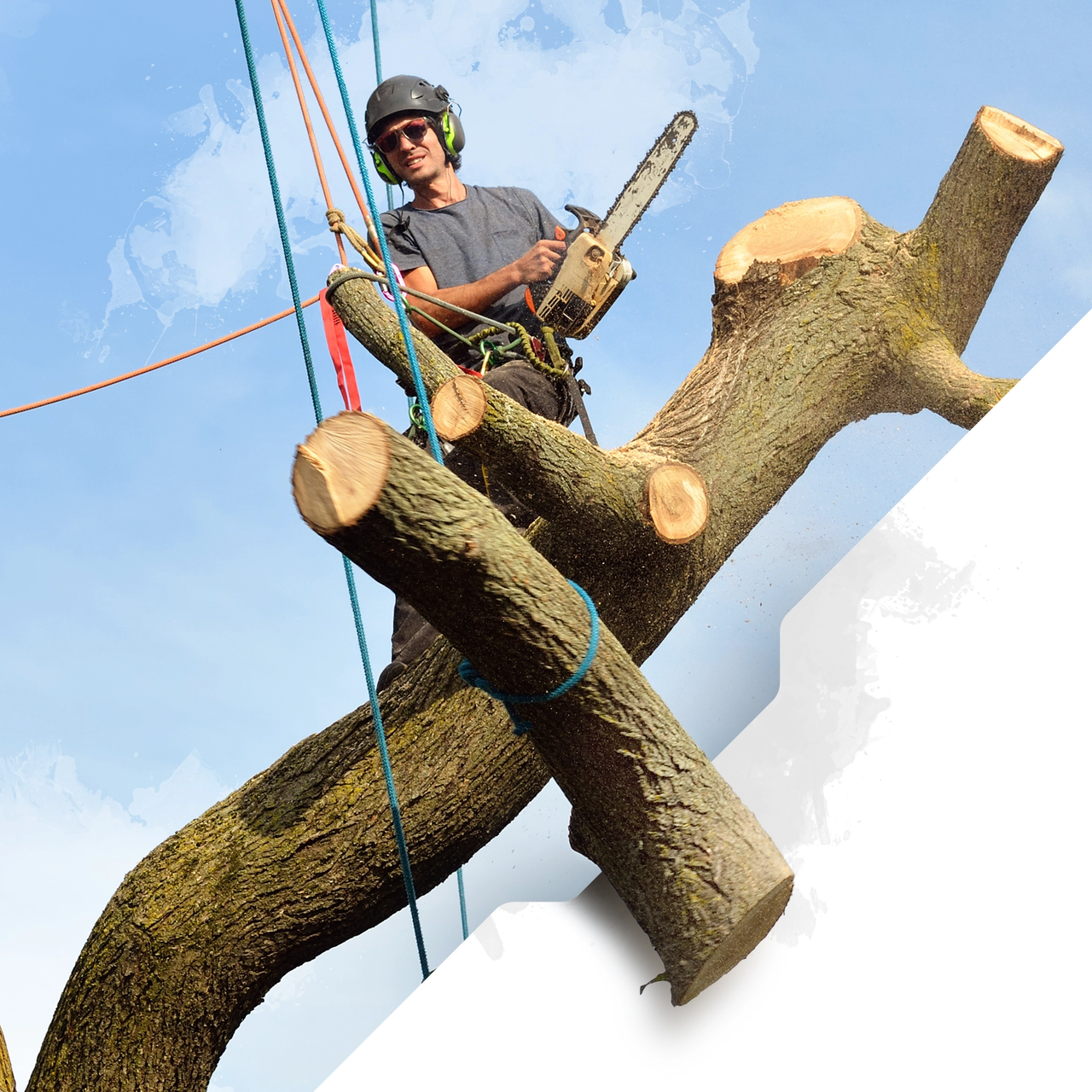 Tree Rigging Ropes