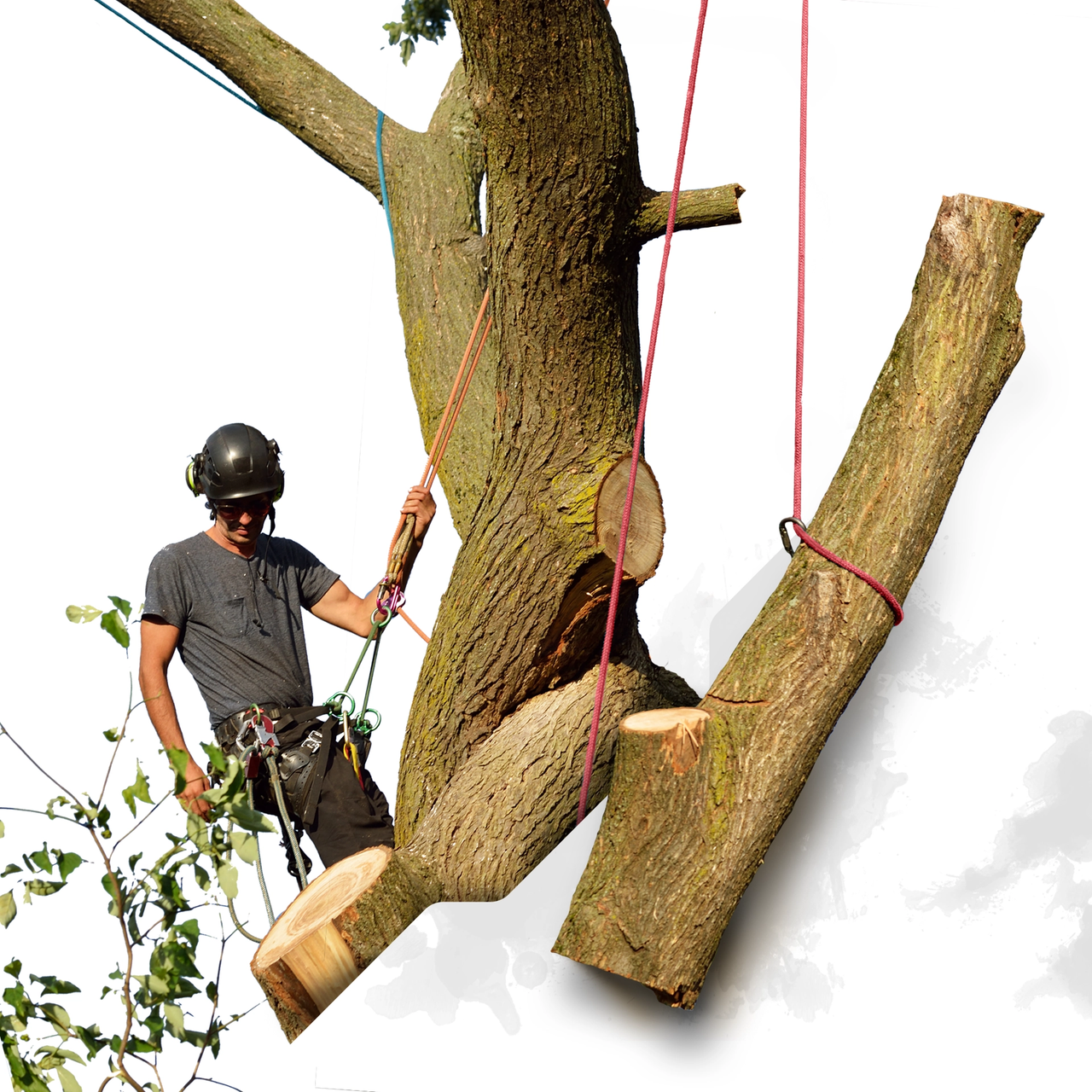 The Ape™ Red Arborist Rigging Rope