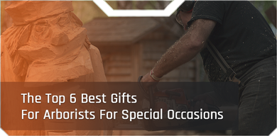 The Top 6 Best Gifts For Arborists For Special Occasions