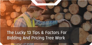 ​The Lucky 13 Tips & Factors For Bidding And Pricing Tree Work