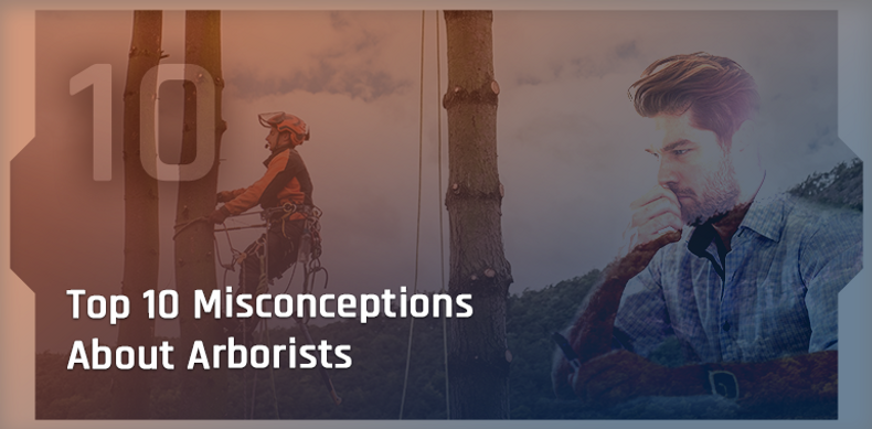 10 Common Misconceptions About Arborists