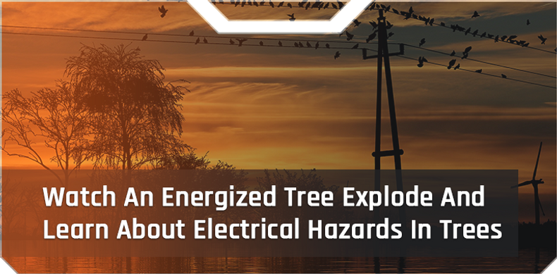 Watch An Energized Tree Explode And Learn About Electrical Hazards In Trees