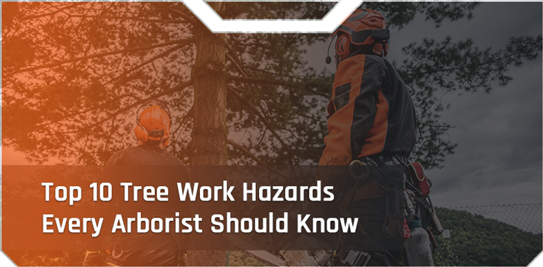 Top 10 Tree Work Hazards Every Arborist Should Know