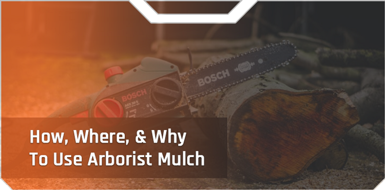 How, Where, And Why To Use Arborist Mulch