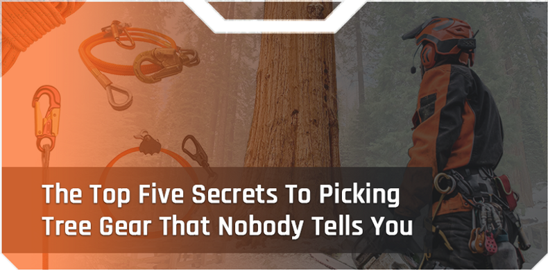 ​The Top 5 Secrets To Picking Tree Gear That Nobody Tells You