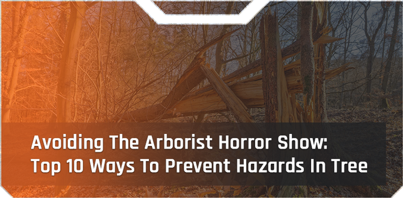 ​Avoiding The Arborist Horror Show: Top 10 Ways To Prevent Hazards In Tree Work