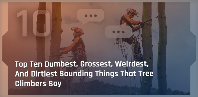 Top Ten Dumbest, Grossest, Weirdest, And Dirtiest Sounding Things That Tree Climbers Say