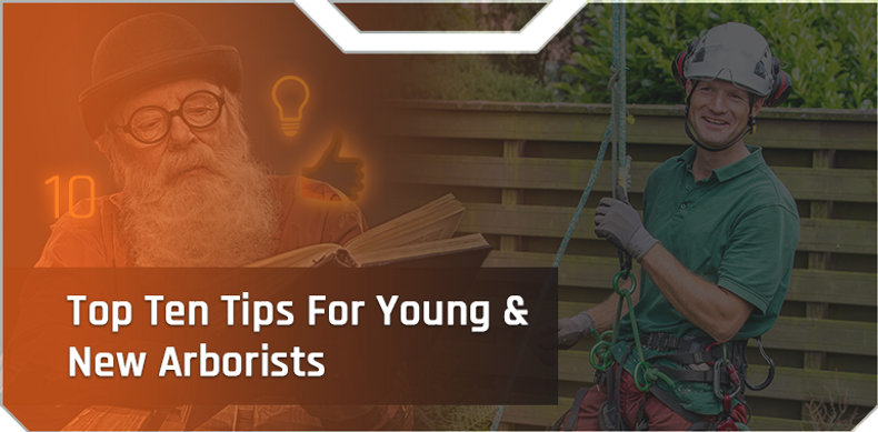 Top 10 Tips For Young & New Arborists