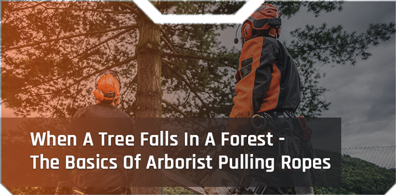 When A Tree Falls In A Forest - The Basics Of Arborist Pulling Ropes -  Pelican Rope