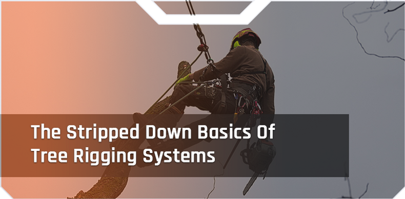 ​The Stripped Down Basics Of Tree Rigging Systems