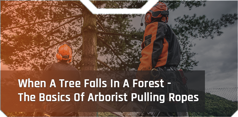 When A Tree Falls In A Forest - The Basics Of Arborist Pulling Ropes -  Pelican Rope