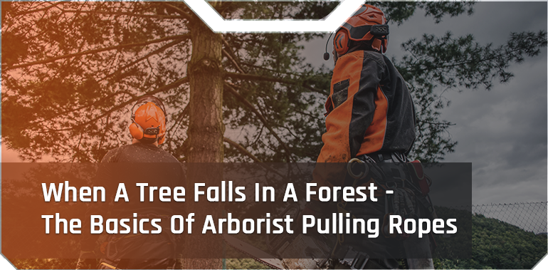 When A Tree Falls In A Forest - The Basics Of Arborist Pulling Ropes - Pelican  Rope