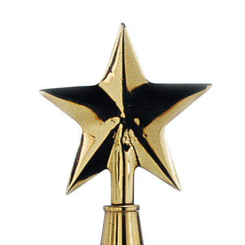 6 3/4 in Gold Metal Texas Star- Aluminum