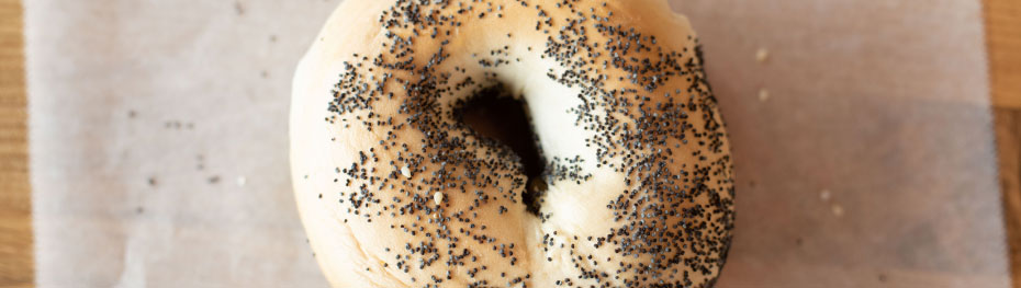 bagel-contact-930.jpg