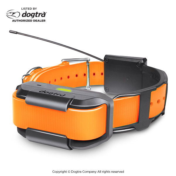dogtra pathfinder amazon